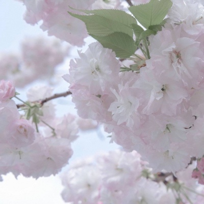 兽设山谷场景创作兽圈群